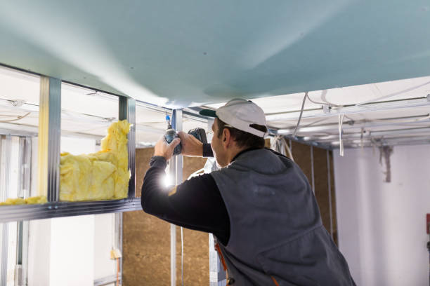 Best DIY Insulation Kits and Guidance in Glennville, GA