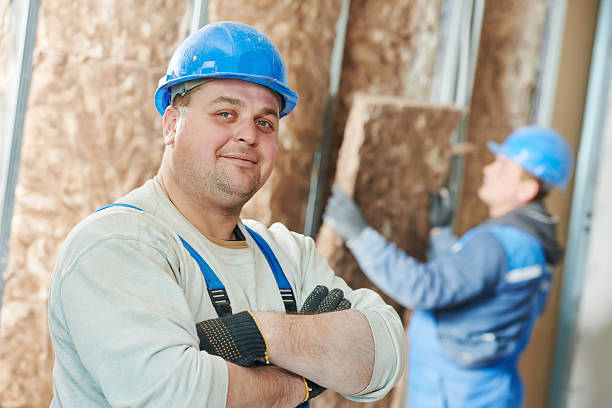 Best Cellulose Insulation in Glennville, GA